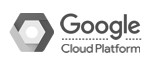 vohippo-partner-google